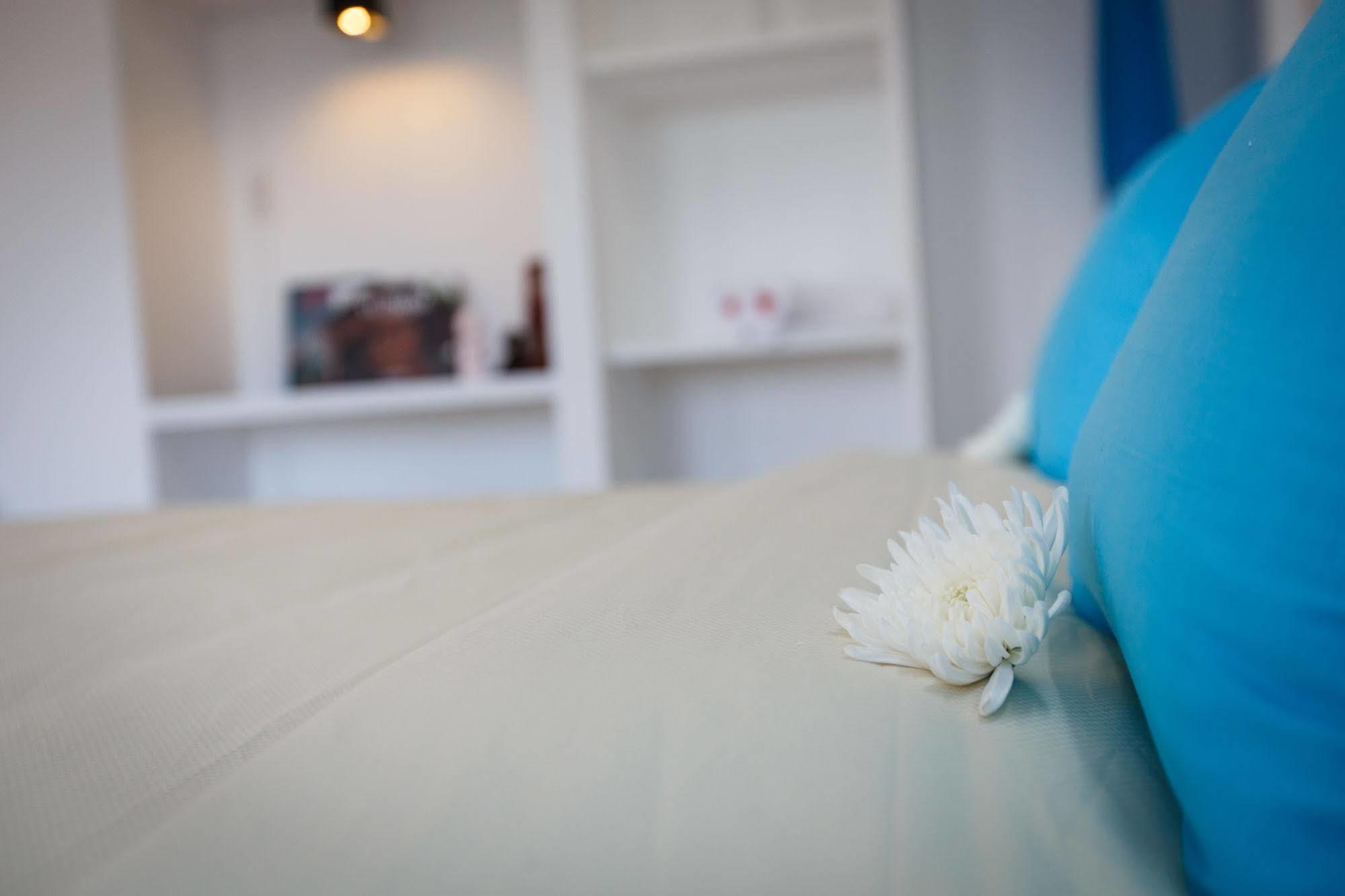 הוי אן Retreat Home Hoian מראה חיצוני תמונה